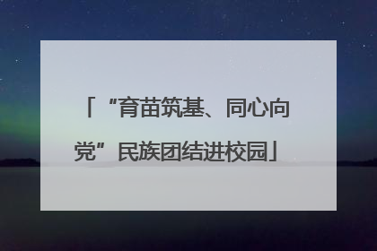 “育苗筑基、同心向党”民族团结进校园
